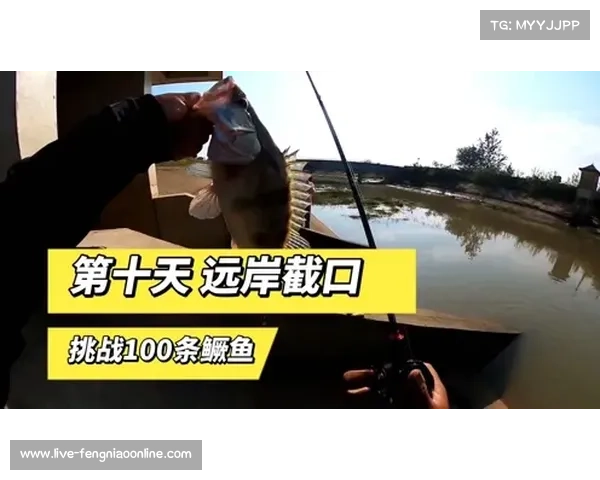 《追球者:杰克鱼的极限挑战与不懈追求》 《追球者:杰克鱼的极限挑战与不懈追求》