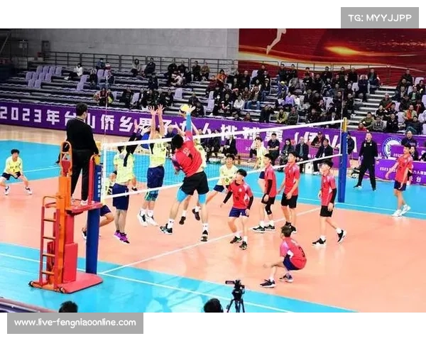 “侨VA”赛事吸引超200万人次线上观赛 “侨VA”赛事吸引超200万人次线上观赛