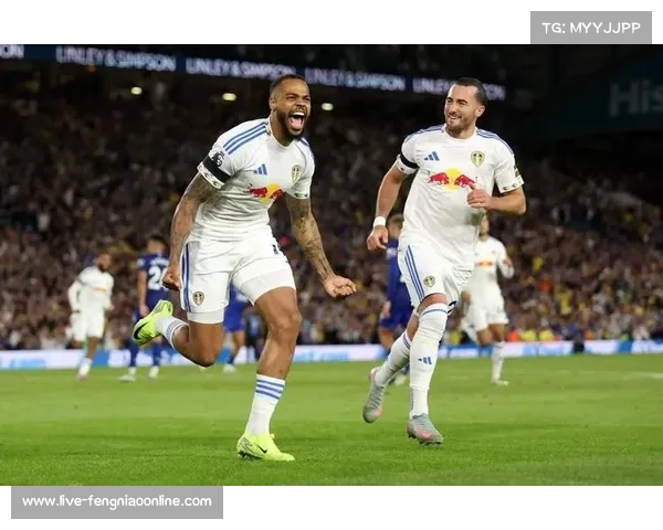 利兹联1-0富勒姆，升班马展现黑马潜质